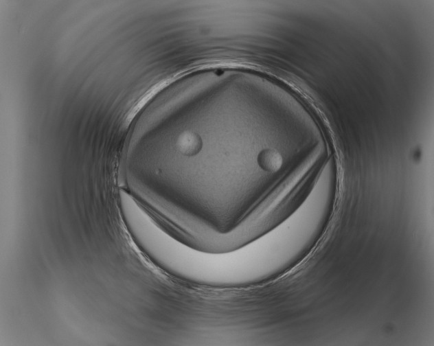 X0000116011385200912101331