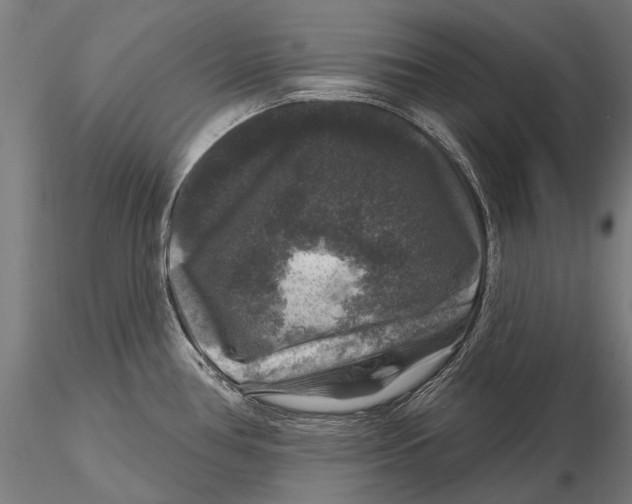 X0000116011386200912101331