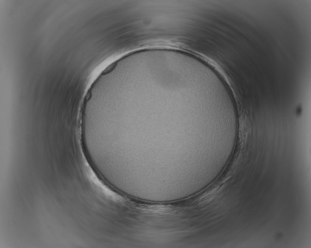 X0000116011387200912101331