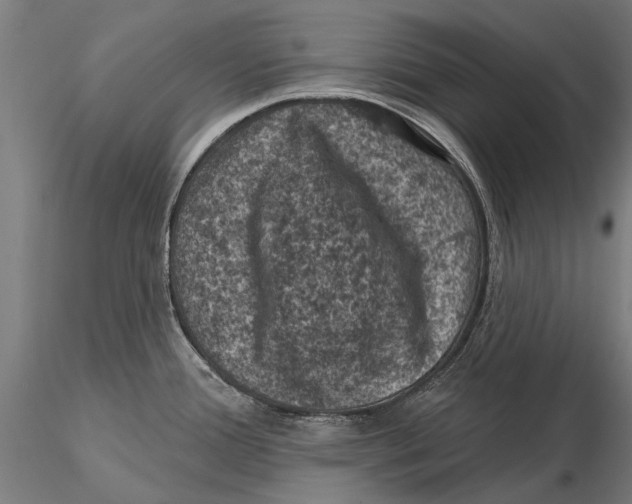 X0000116011388200912101331