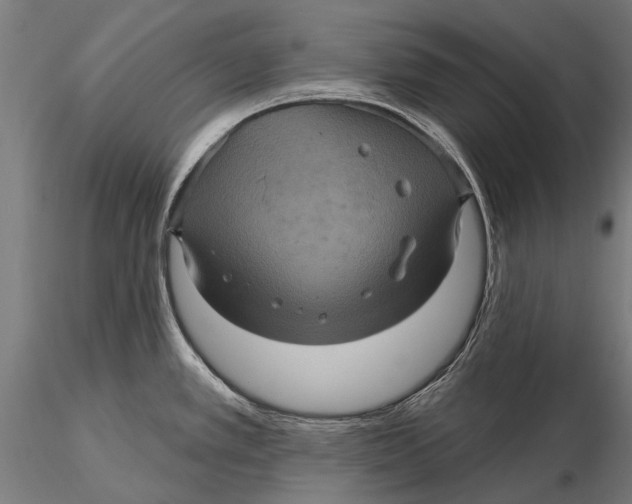 X0000116011389200912101331