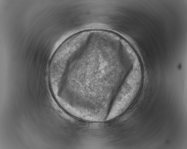 X0000116011390200912101331