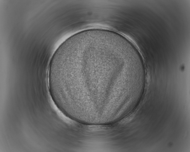 X0000116011391200912101331