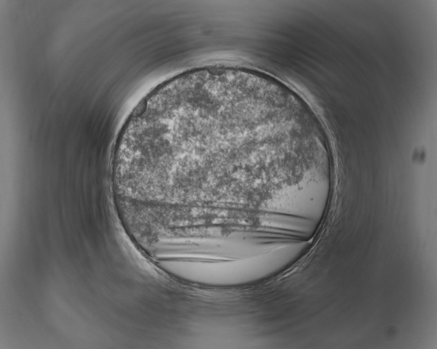 X0000116011392200912101331