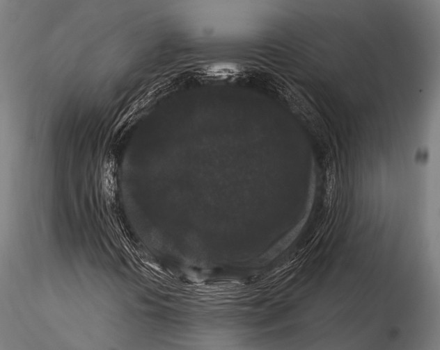 X0000116011394200912101330