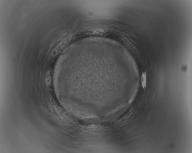 X0000116011395200912101330