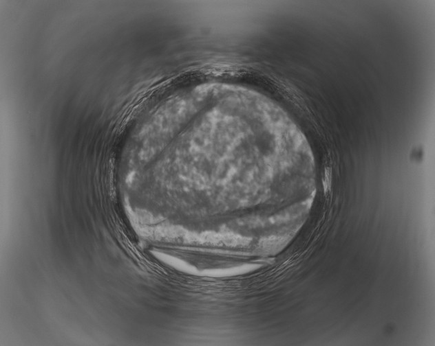 X0000116011396200912101330
