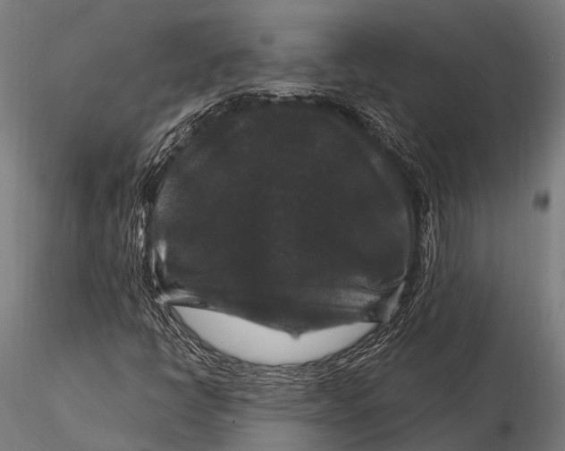 X0000116011398200912101330