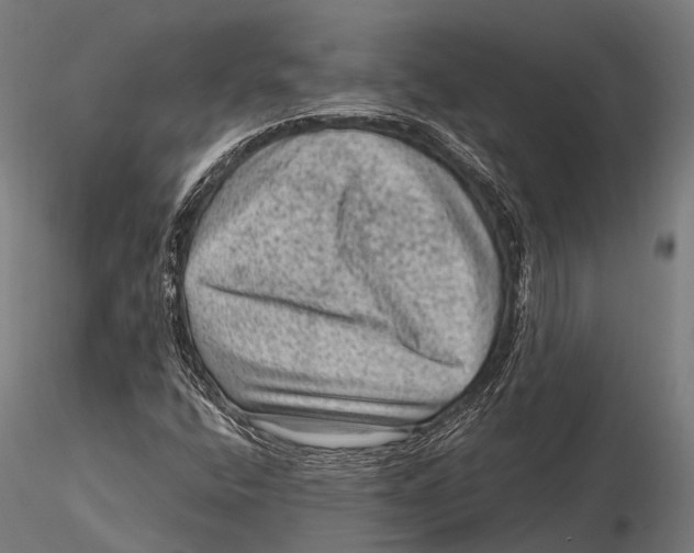 X0000116011400200912101330