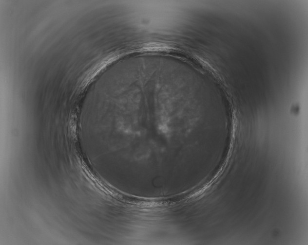 X0000116011401200912101330