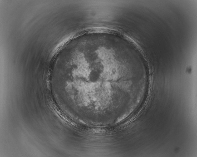 X0000116011403200912101330