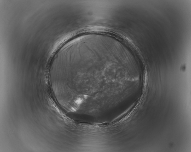 X0000116011405200912101330