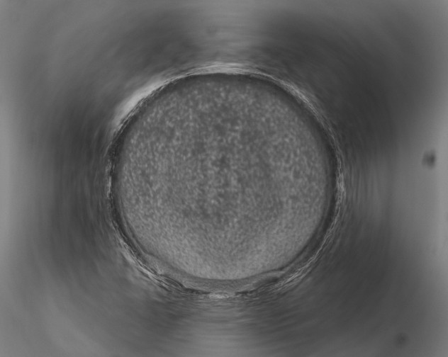 X0000116011406200912101330