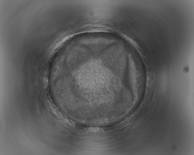 X0000116011407200912101330