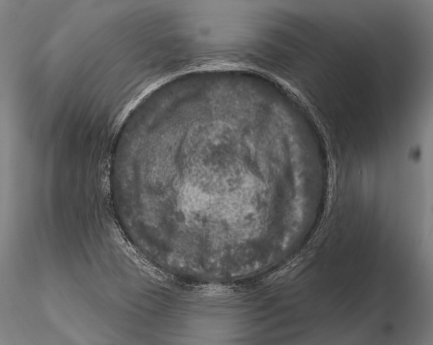 X0000116011409200912101330