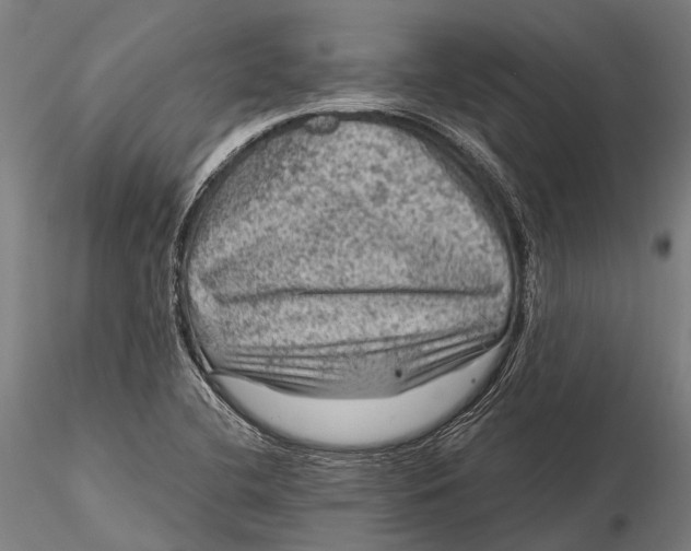 X0000116011412200912101330