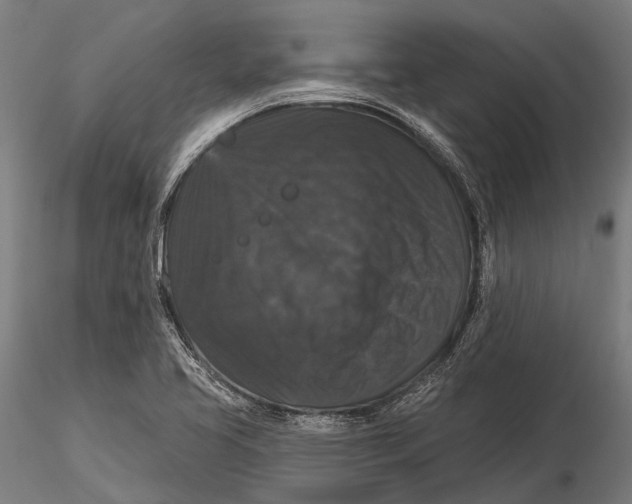 X0000116011413200912101330