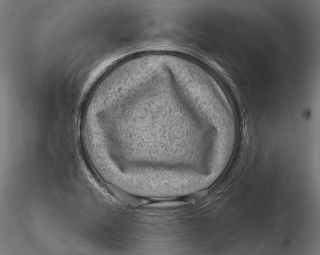 X0000116011416200912101330