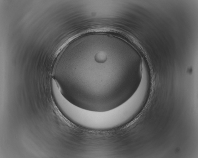 X0000116011417200912101330