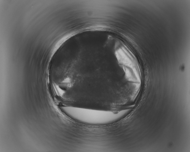 X0000116011418200912101330