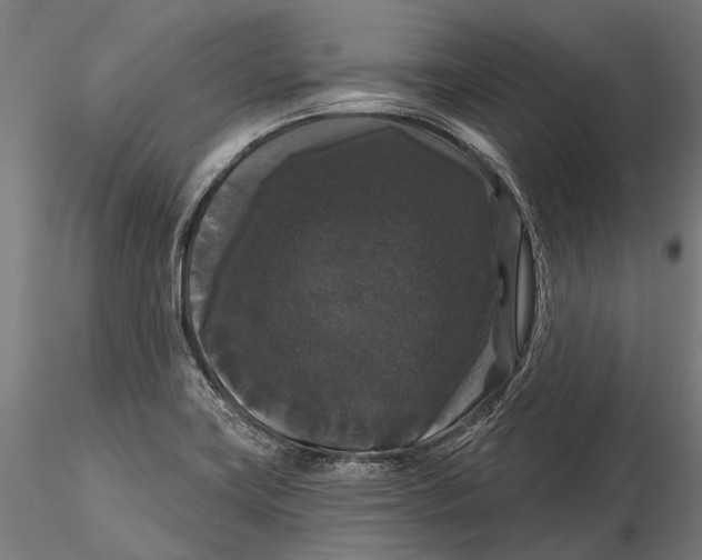 X0000116011419200912101330