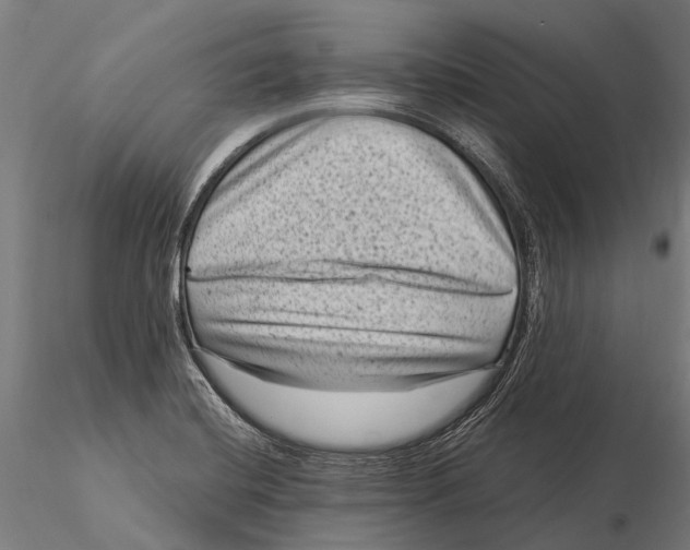 X0000116011420200912101330