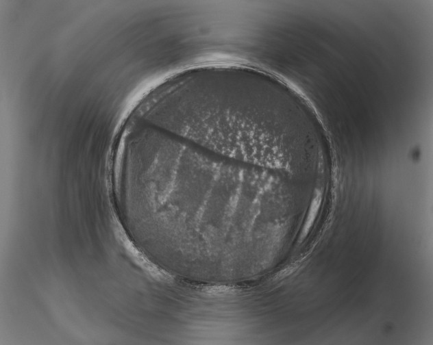 X0000116011421200912101330