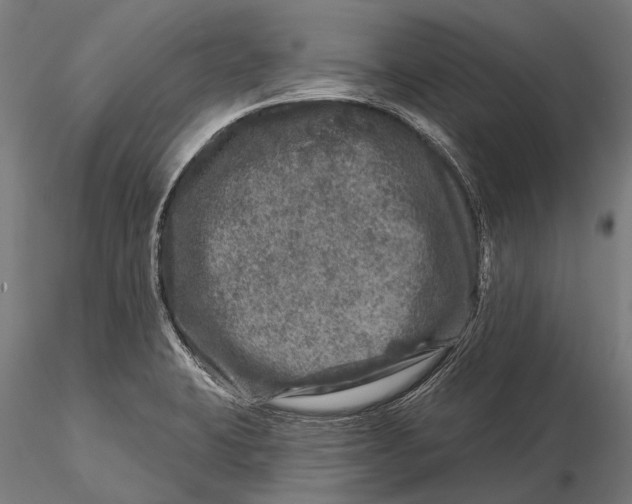 X0000116011423200912101331