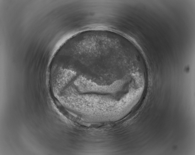 X0000116011424200912101331