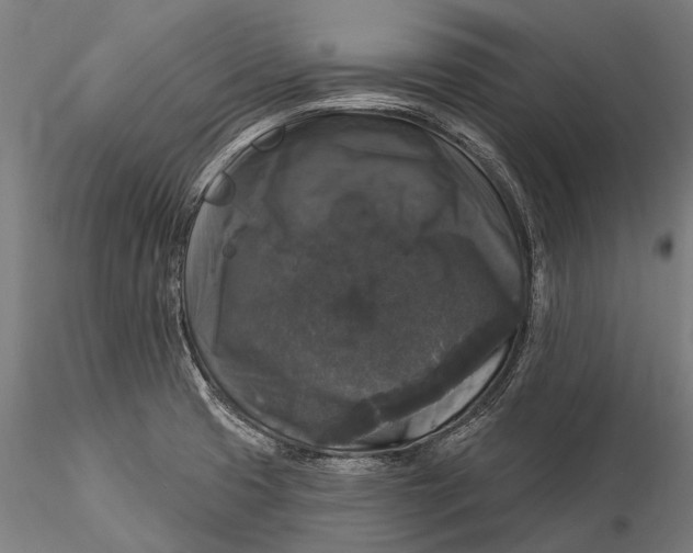 X0000116011425200912101331