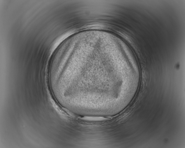 X0000116011426200912101331