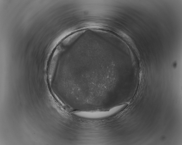 X0000116011427200912101331