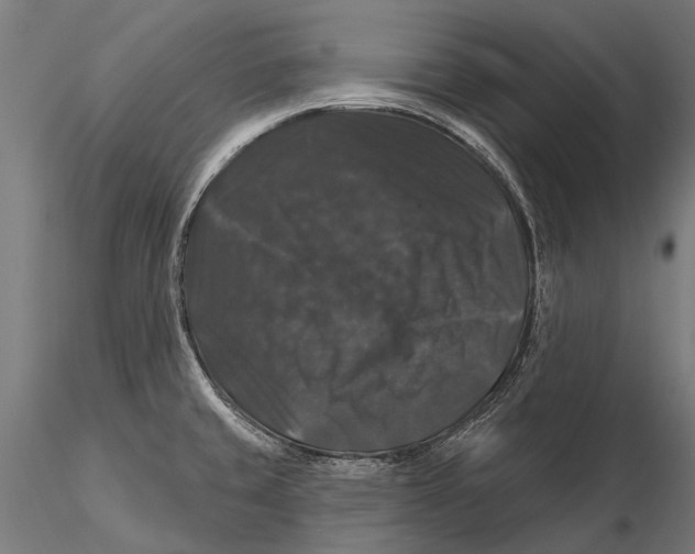 X0000116011429200912101331