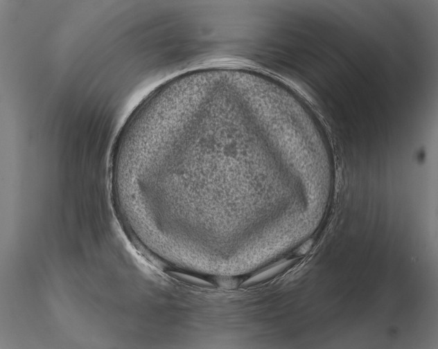 X0000116011430200912101331