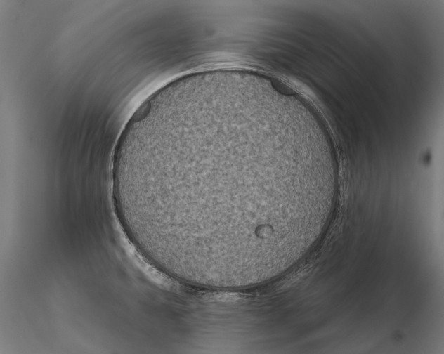 X0000116011431200912101331