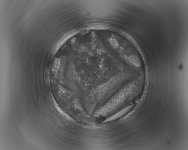 X0000116011433200912101331