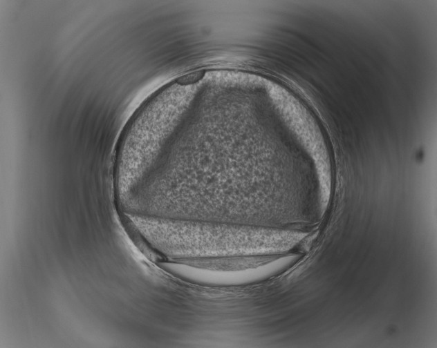 X0000116011434200912101331