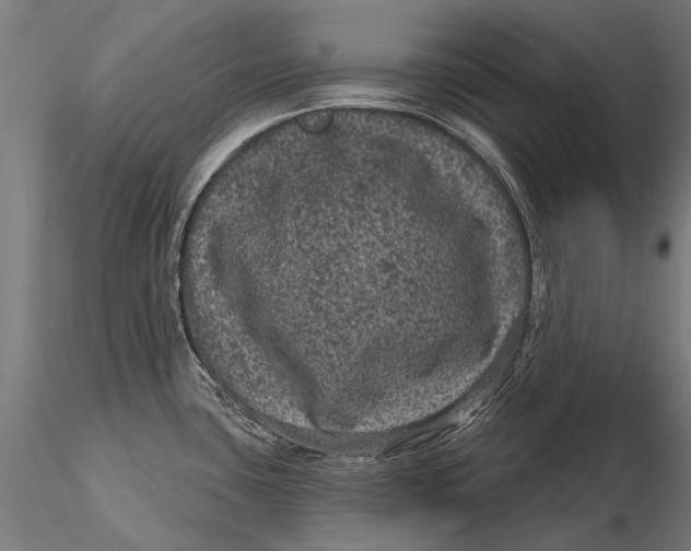 X0000116011435200912101331