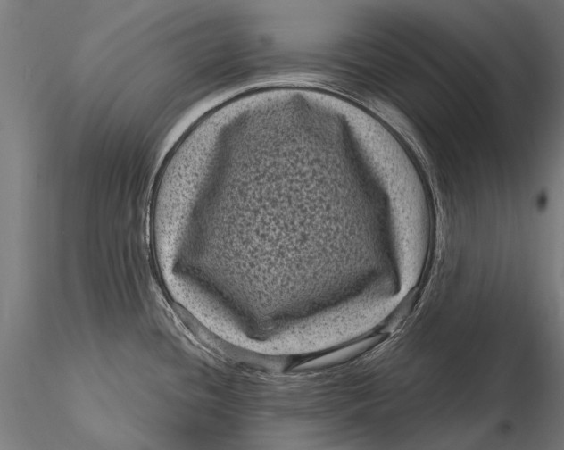 X0000116011436200912101331