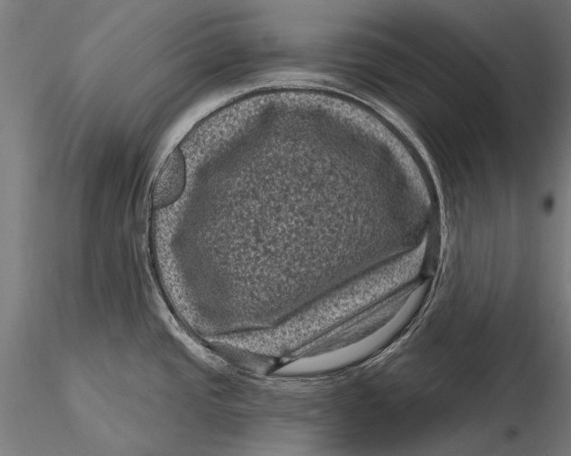 X0000116011437200912101331