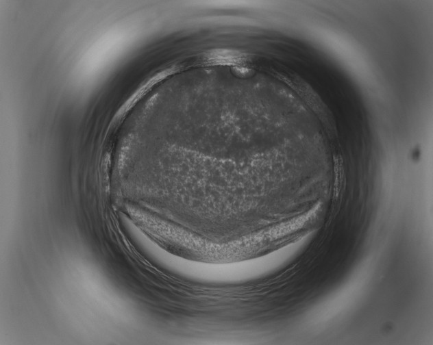 X0000116011438200912101331