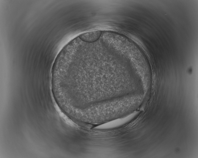 X0000116011439200912101331