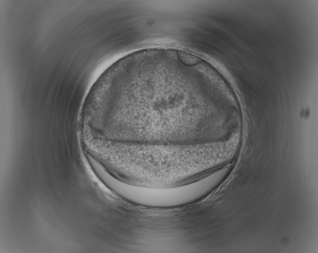 X0000116011440200912101331