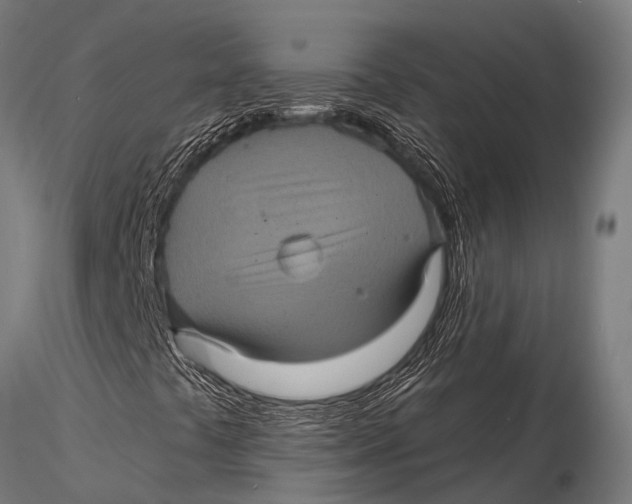 X0000116011441200912101330