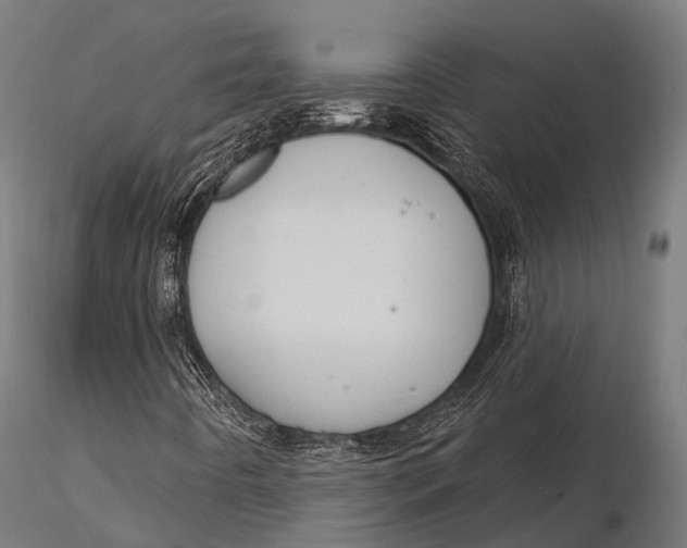 X0000116011442200912101330