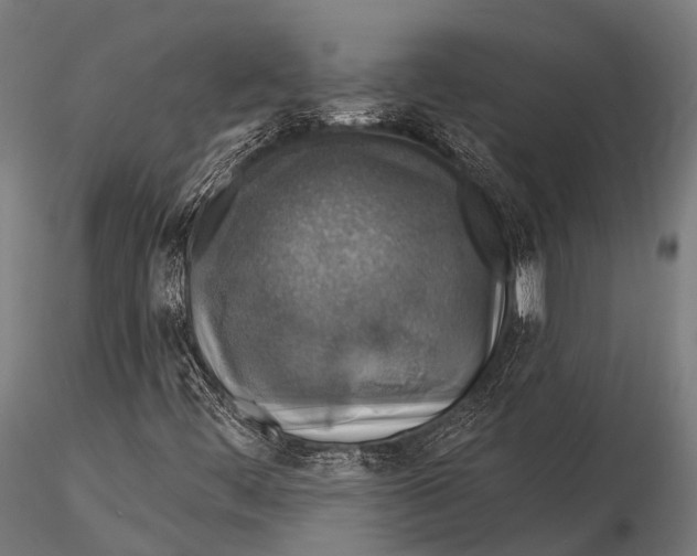 X0000116011444200912101330