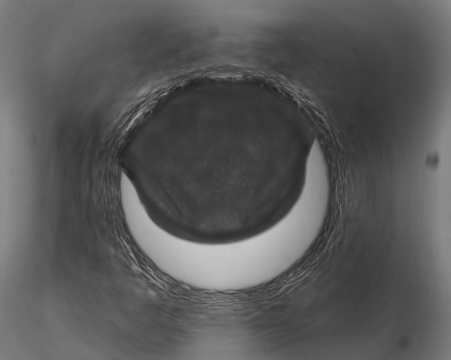 X0000116011445200912101330