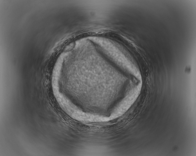 X0000116011447200912101330