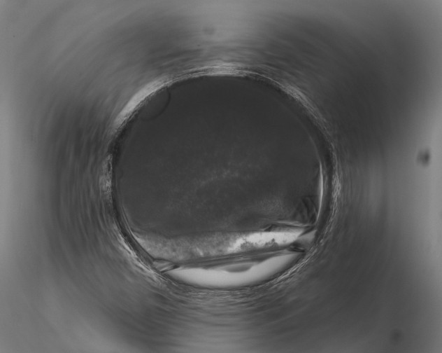 X0000116011450200912101330