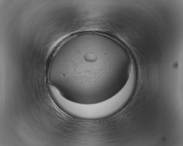 X0000116011452200912101330